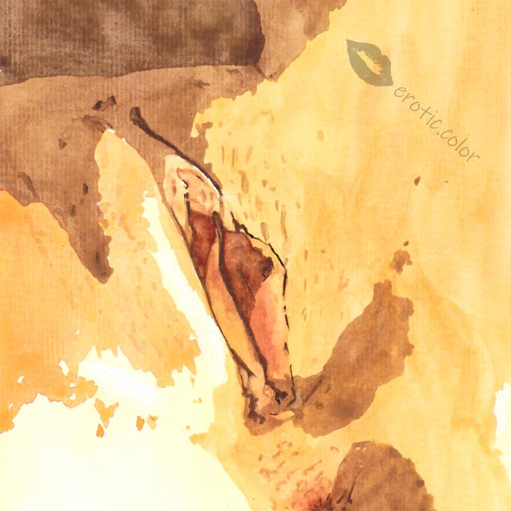 Pussy Closeup Watercolor